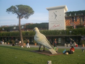 The size the Pidgeon would need to be to match the bone, this one is at Pisa Airport, beware!.