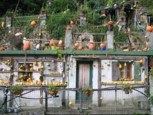 The Pumkin House - Vernazza