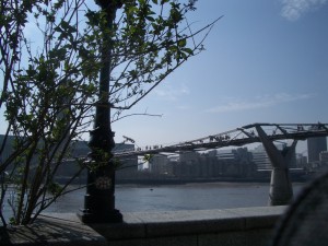 The Millennium Bridge